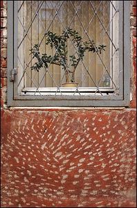 ru_foto
_urban_photos
urban_decay
texture
doorwindowwall
photographers