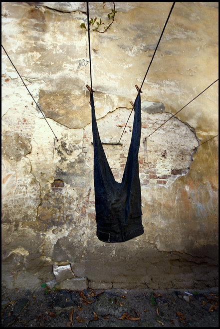 2011, Львов, "Гуляя со Смоляниновым/ гуляя с Музалевым", Дзыга, 2012, Москва, галерея "Легранд"