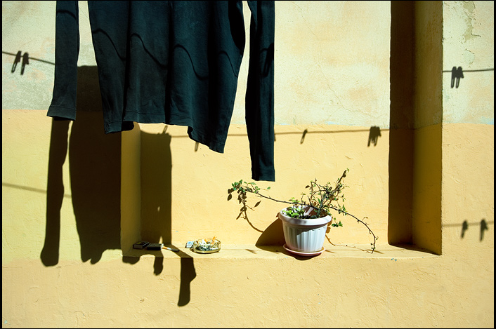 2010, Москва, "Метафизическая фотография", 2011, Львов, "Гуляя со Смоляниновым/ гуляя с Музалевым", Дзыга,