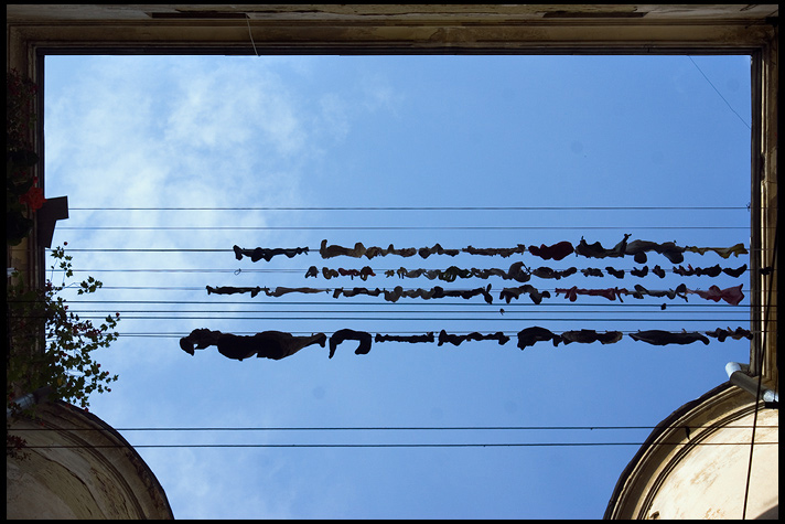 2010, Москва, "Метафизическая фотография", 2011, Львов, "Гуляя со Смоляниновым/ гуляя с Музалевым", Дзыга,